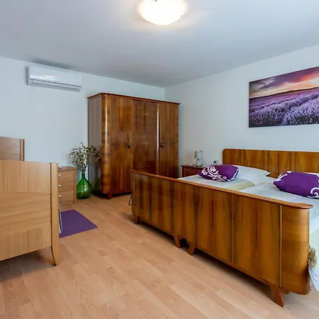 Rural House Anka Drivenik