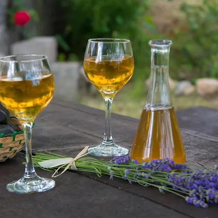 Rural House Anka Hébergement de vacances Drivenik