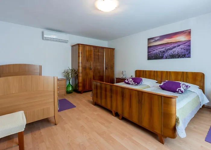 Rural House Anka Drivenik