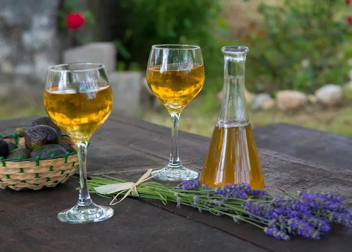 Rural House Anka بيت للعطل Drivenik