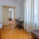 Vakantiehuis Rural House Anka Drivenik