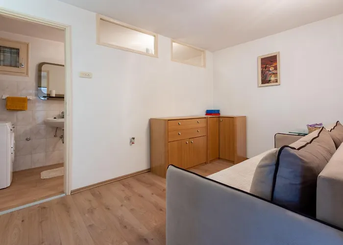 Rural House Anka 度假居 Drivenik